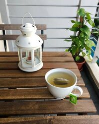 Sims Green (D14), Apartment #496014451